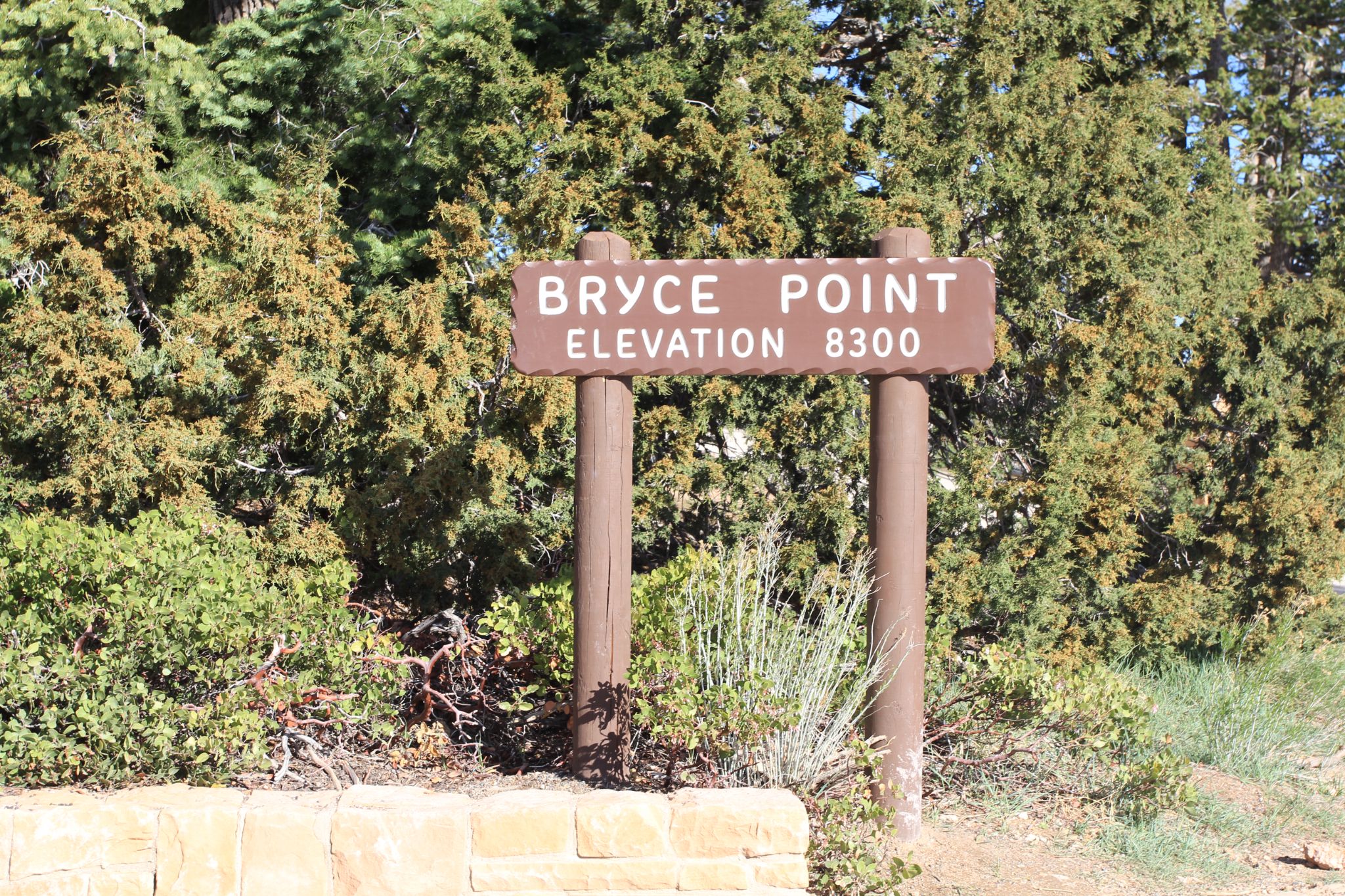 IMG 2710   Copie (2)